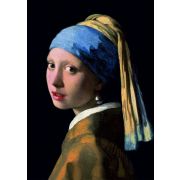 Collection ART.Ян Вермеер.Девушка с жемчужиной 105 дет..Размер 16 х 23 см. Ср. р-р дет.2,5см 10+